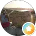 Carlotta T